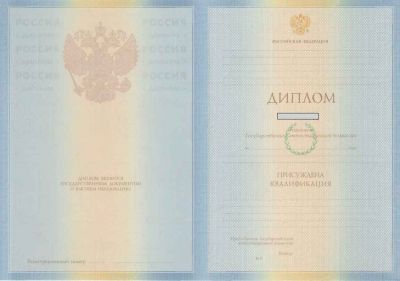 Диплом ВУЗА 2009-2010